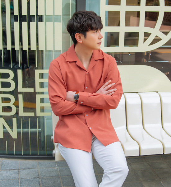 (L-5XL)<br>델리언 开领衬衫