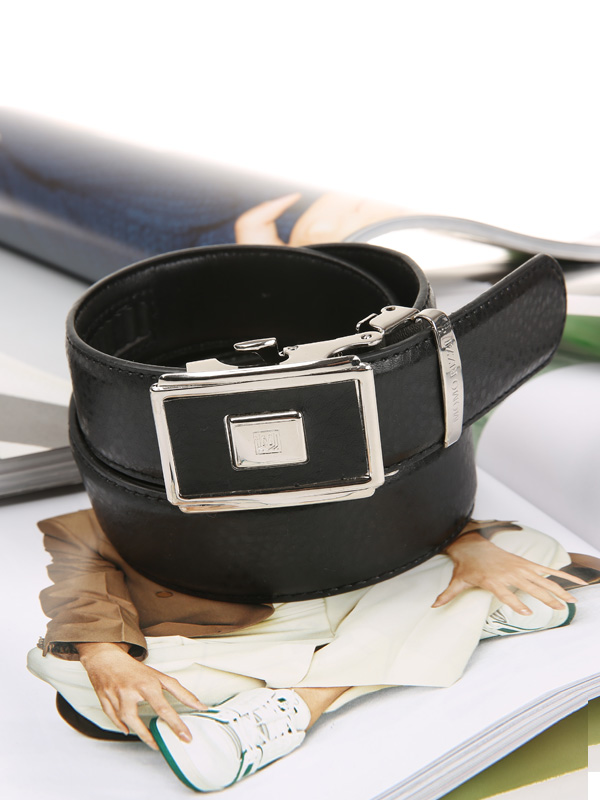 버산파타 自动皮带