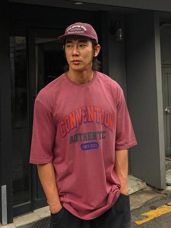 (XL-6XL)<BR>픽턴 颜料 短袖T恤