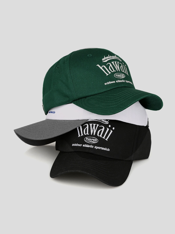 칙시스 球帽(빅하와이)